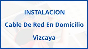 Instalacion De Cable De Red En Domicilio en Vizcaya