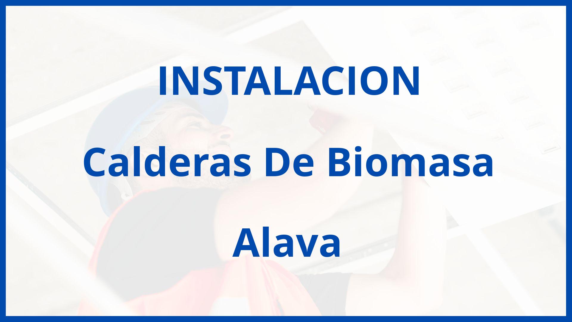 Instalacion De Calderas De Biomasa