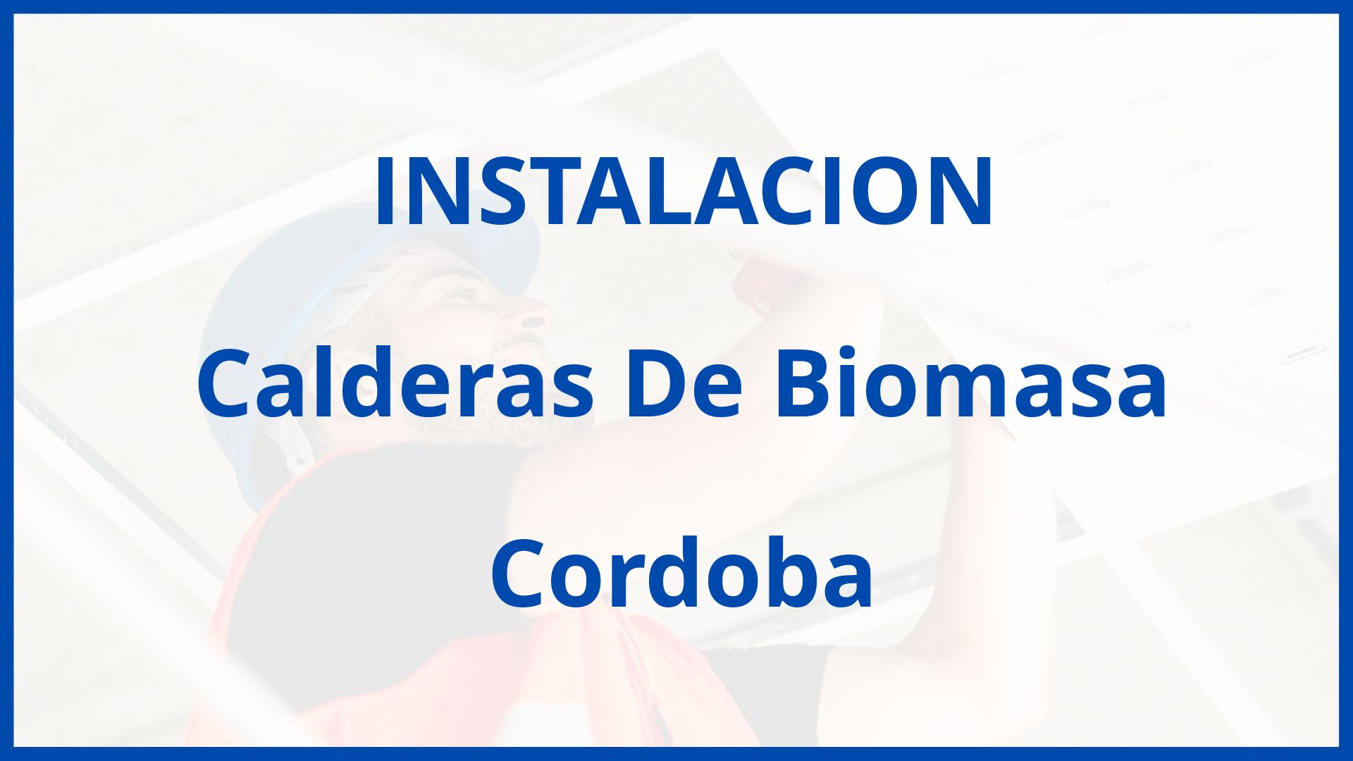 Instalacion De Calderas De Biomasa