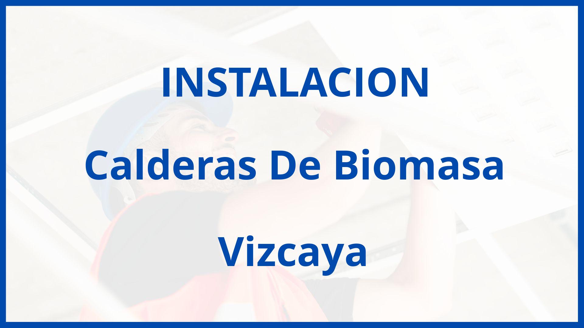 Instalacion De Calderas De Biomasa