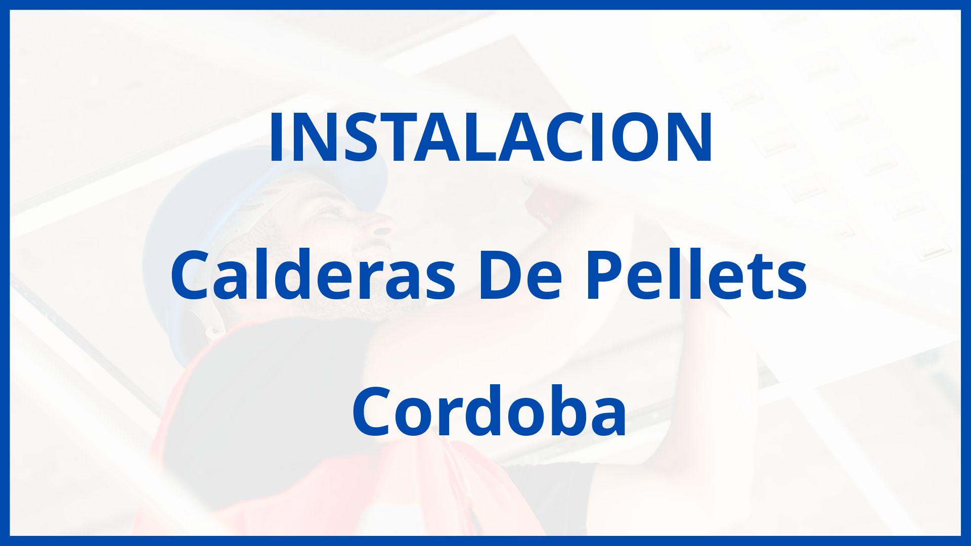 Instalacion De Calderas De Pellets