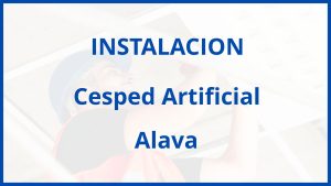 Instalacion De Cesped Artificial en Alava