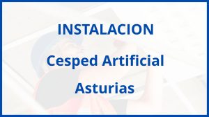 Instalacion De Cesped Artificial en Asturias