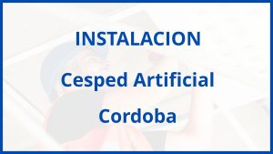 Instalacion De Cesped Artificial en Cordoba