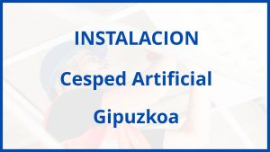 Instalacion De Cesped Artificial en Gipuzkoa