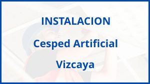 Instalacion De Cesped Artificial en Vizcaya