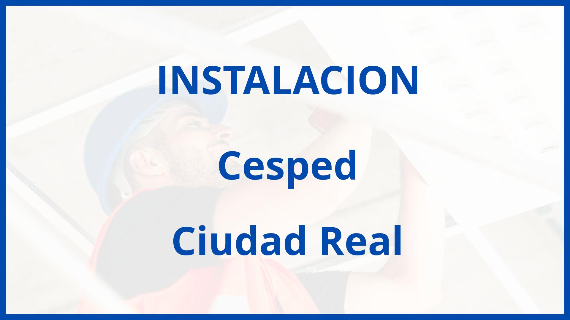 Instalacion De Cesped