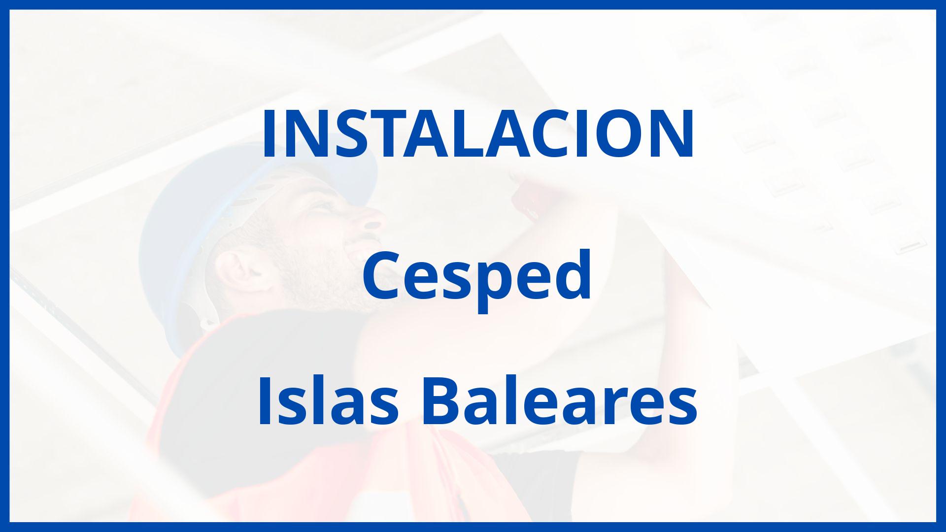 Instalacion De Cesped