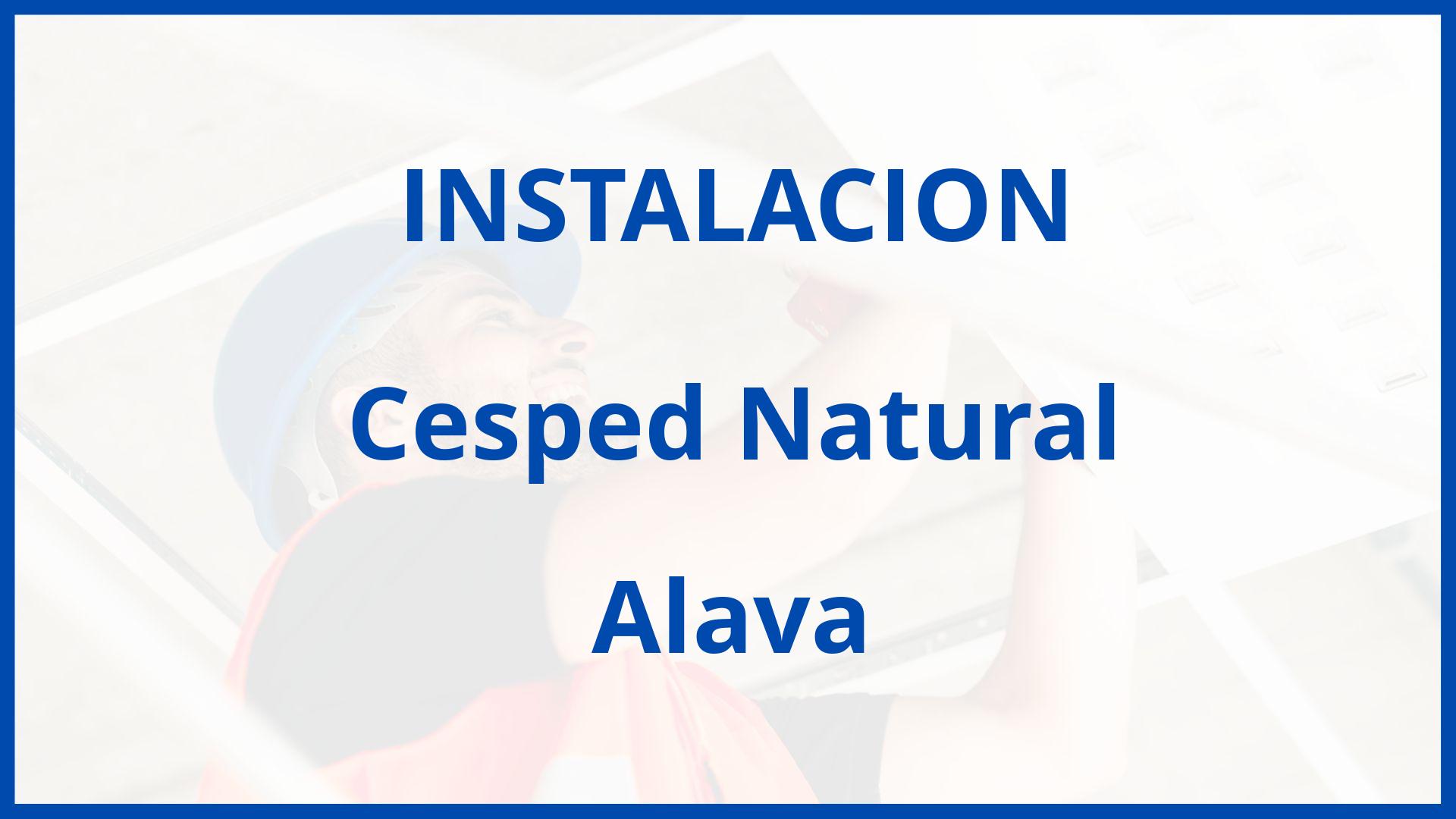 Instalacion De Cesped Natural