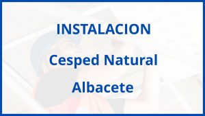 Instalacion De Cesped Natural en Albacete