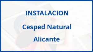 Instalacion De Cesped Natural en Alicante