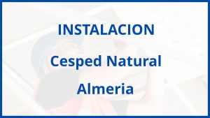 Instalacion De Cesped Natural en Almeria