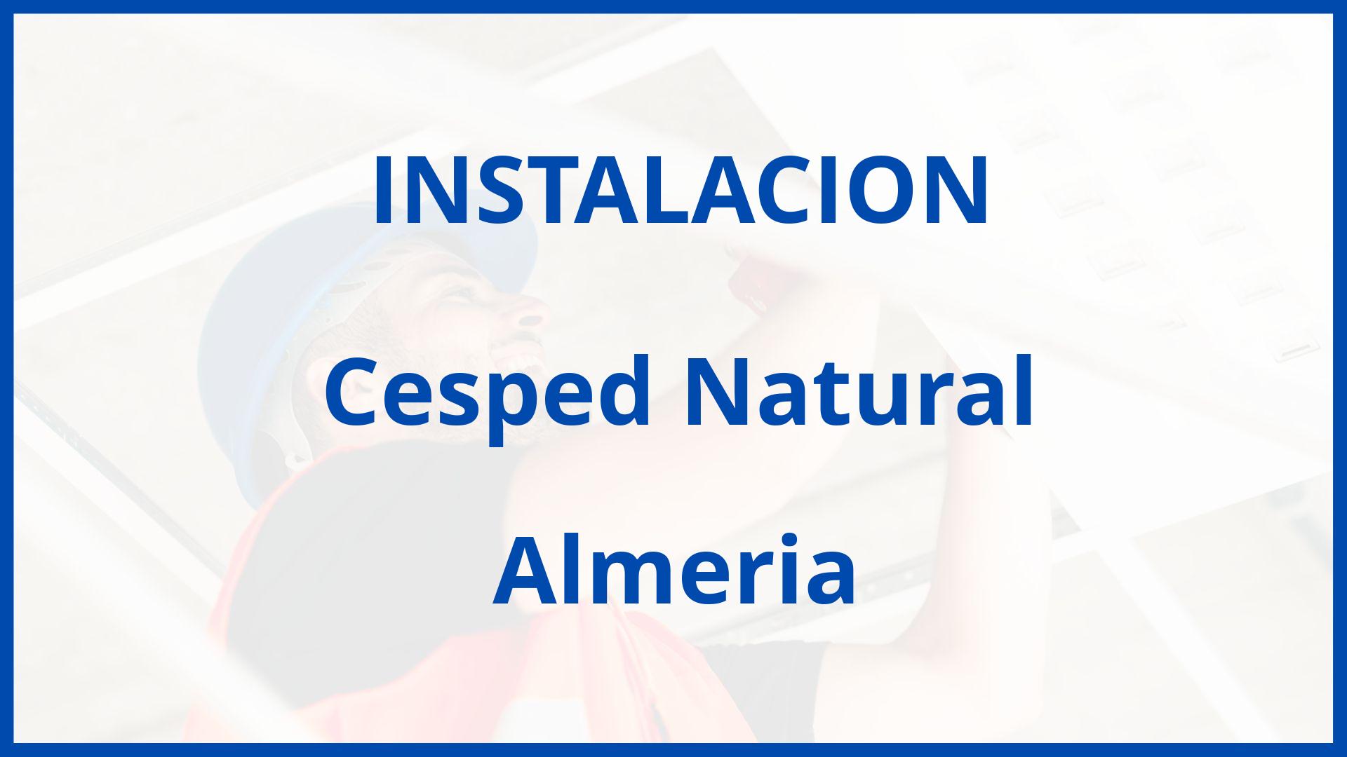 Instalacion De Cesped Natural