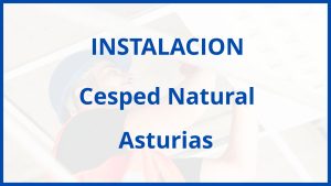 Instalacion De Cesped Natural en Asturias