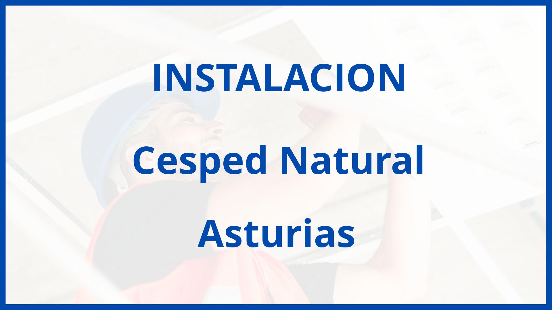 Instalacion De Cesped Natural