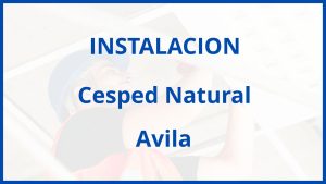 Instalacion De Cesped Natural en Avila