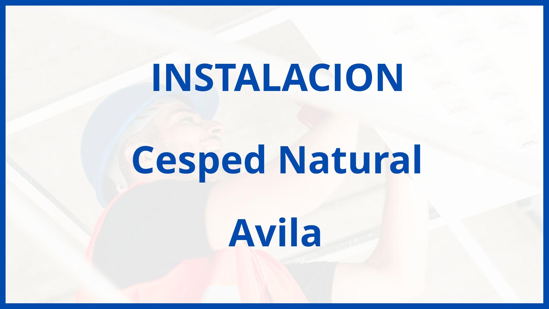 Instalacion De Cesped Natural