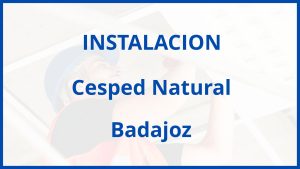 Instalacion De Cesped Natural en Badajoz