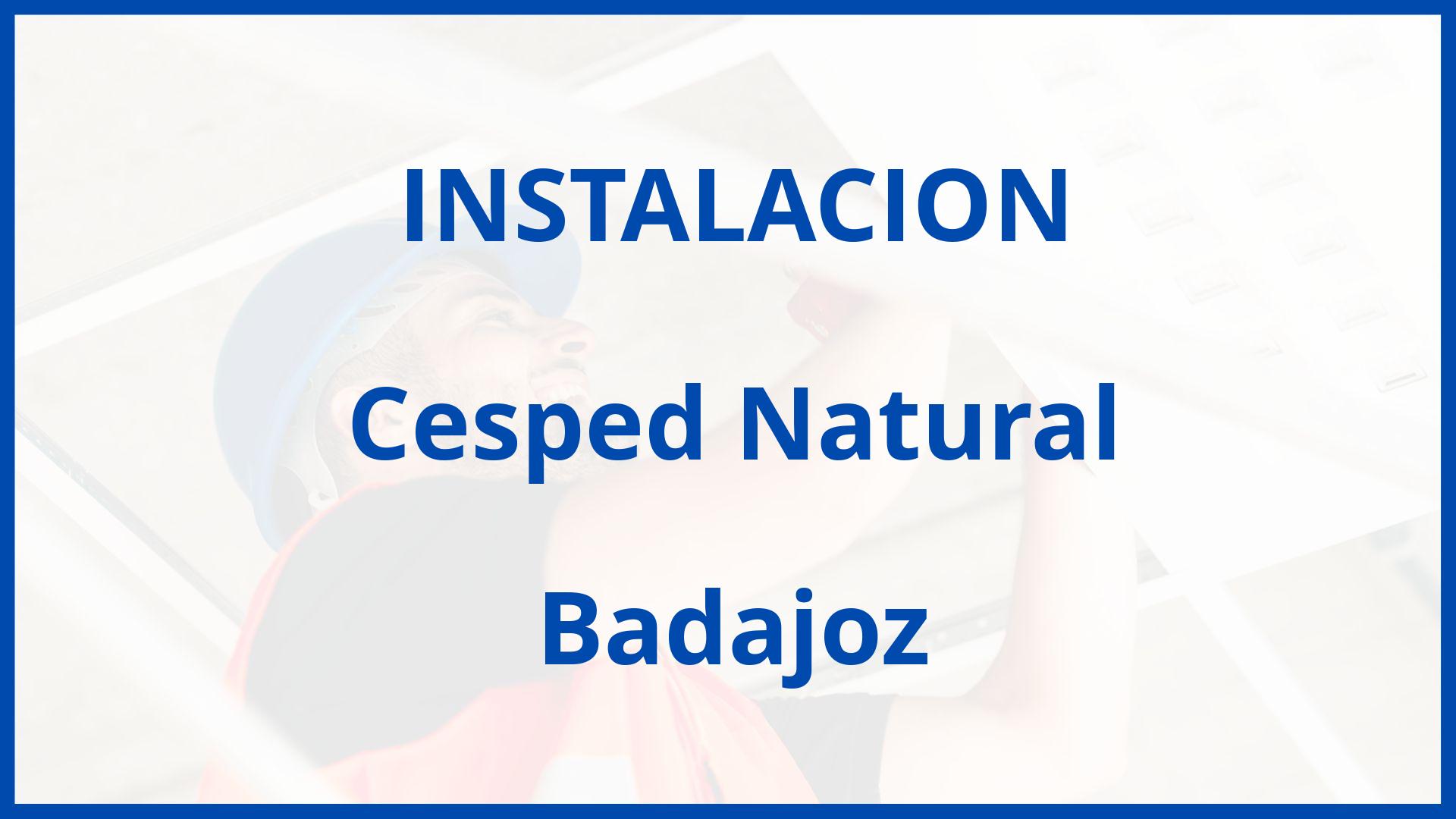 Instalacion De Cesped Natural