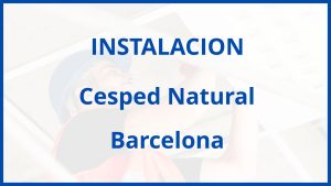 Instalacion De Cesped Natural en Barcelona