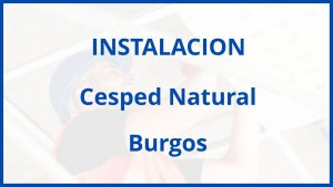 Instalacion De Cesped Natural en Burgos