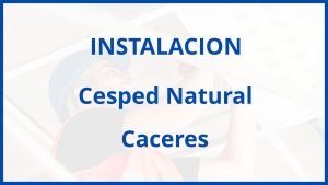 Instalacion De Cesped Natural en Caceres