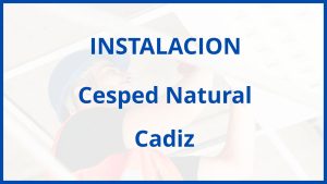 Instalacion De Cesped Natural en Cadiz