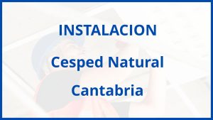 Instalacion De Cesped Natural en Cantabria