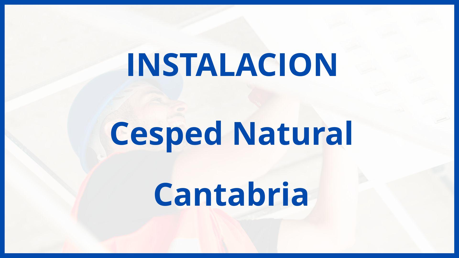 Instalacion De Cesped Natural