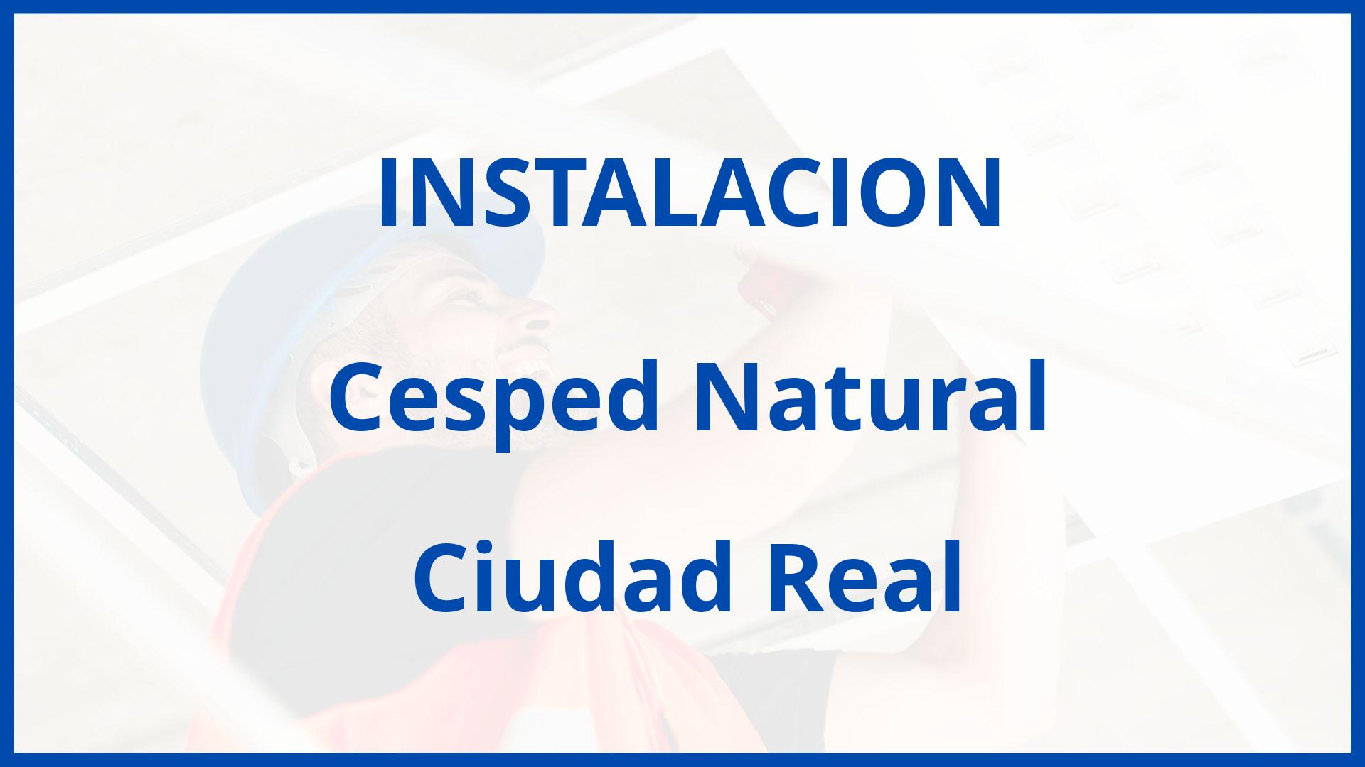 Instalacion De Cesped Natural