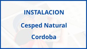 Instalacion De Cesped Natural en Cordoba