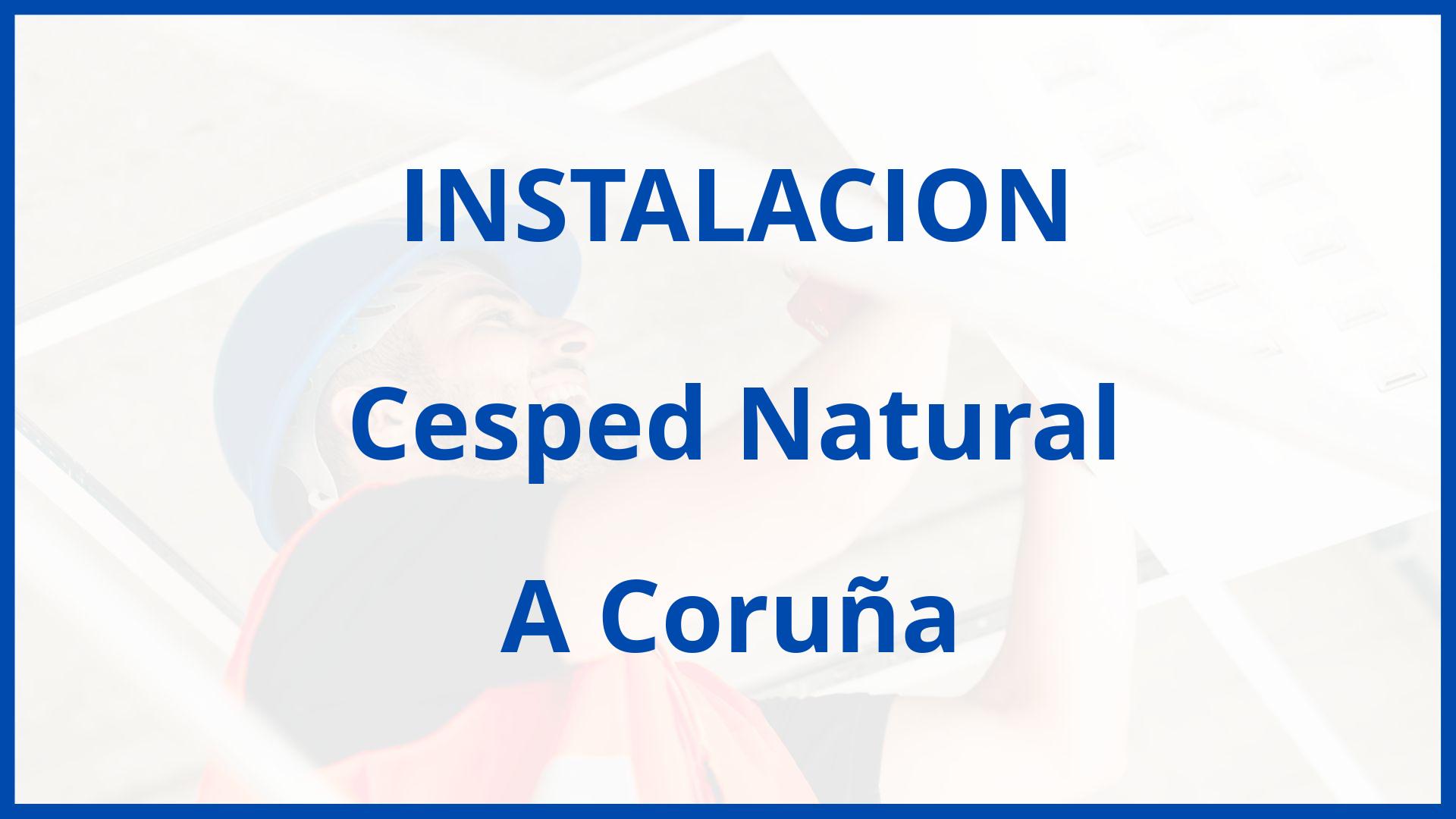 Instalacion De Cesped Natural