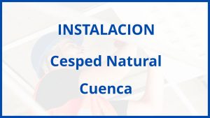 Instalacion De Cesped Natural en Cuenca