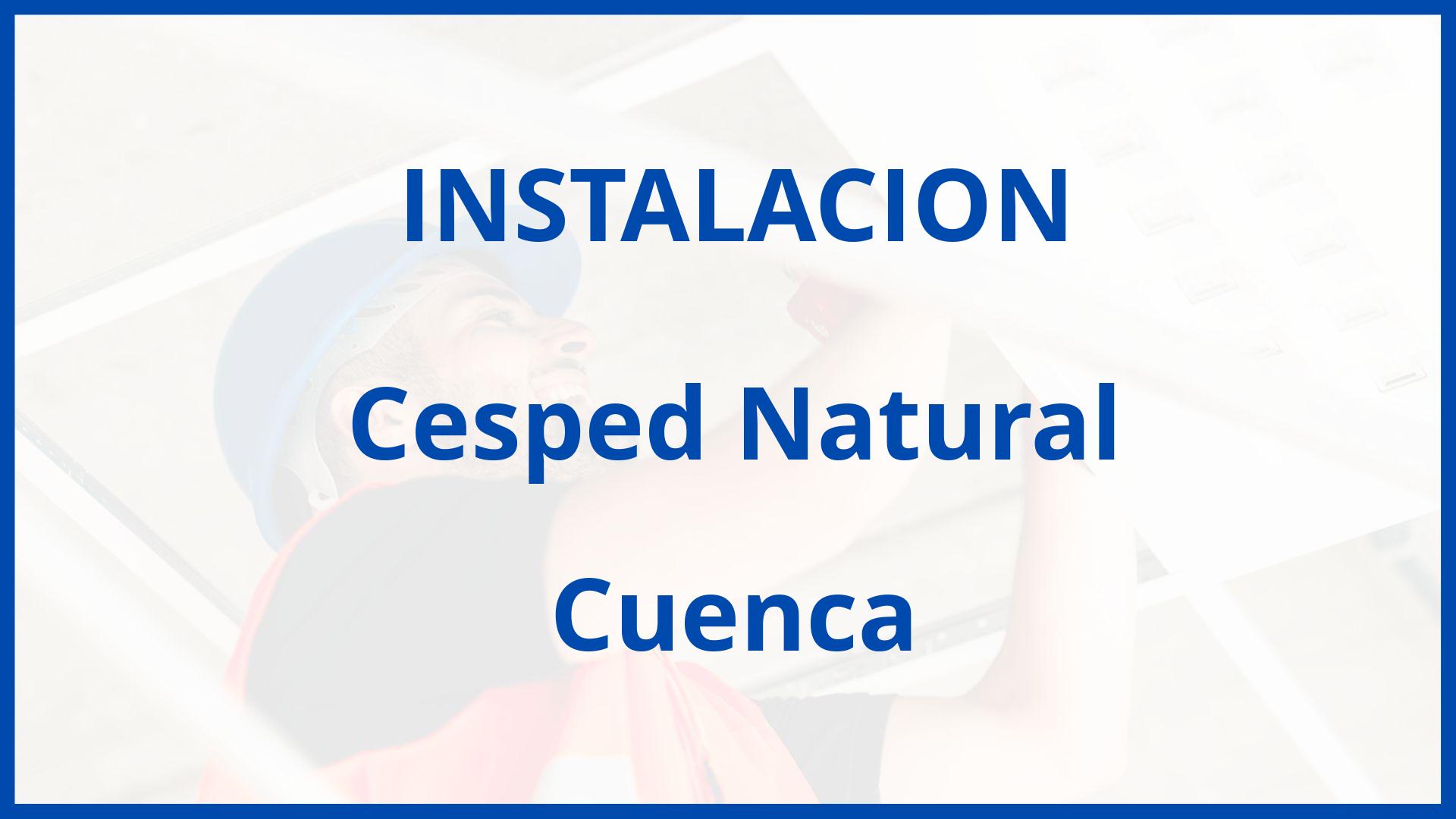 Instalacion De Cesped Natural