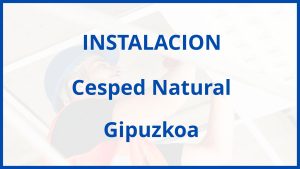 Instalacion De Cesped Natural en Gipuzkoa