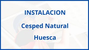 Instalacion De Cesped Natural en Huesca