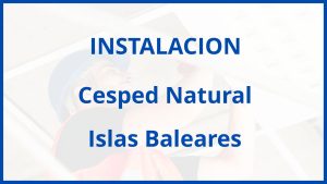 Instalacion De Cesped Natural en Islas Baleares