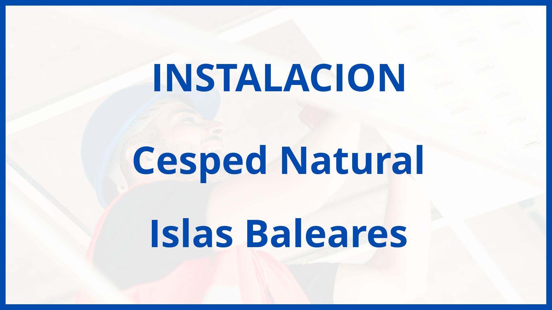 Instalacion De Cesped Natural