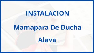 Instalacion De Mamapara De Ducha en Alava