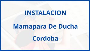 Instalacion De Mamapara De Ducha en Cordoba