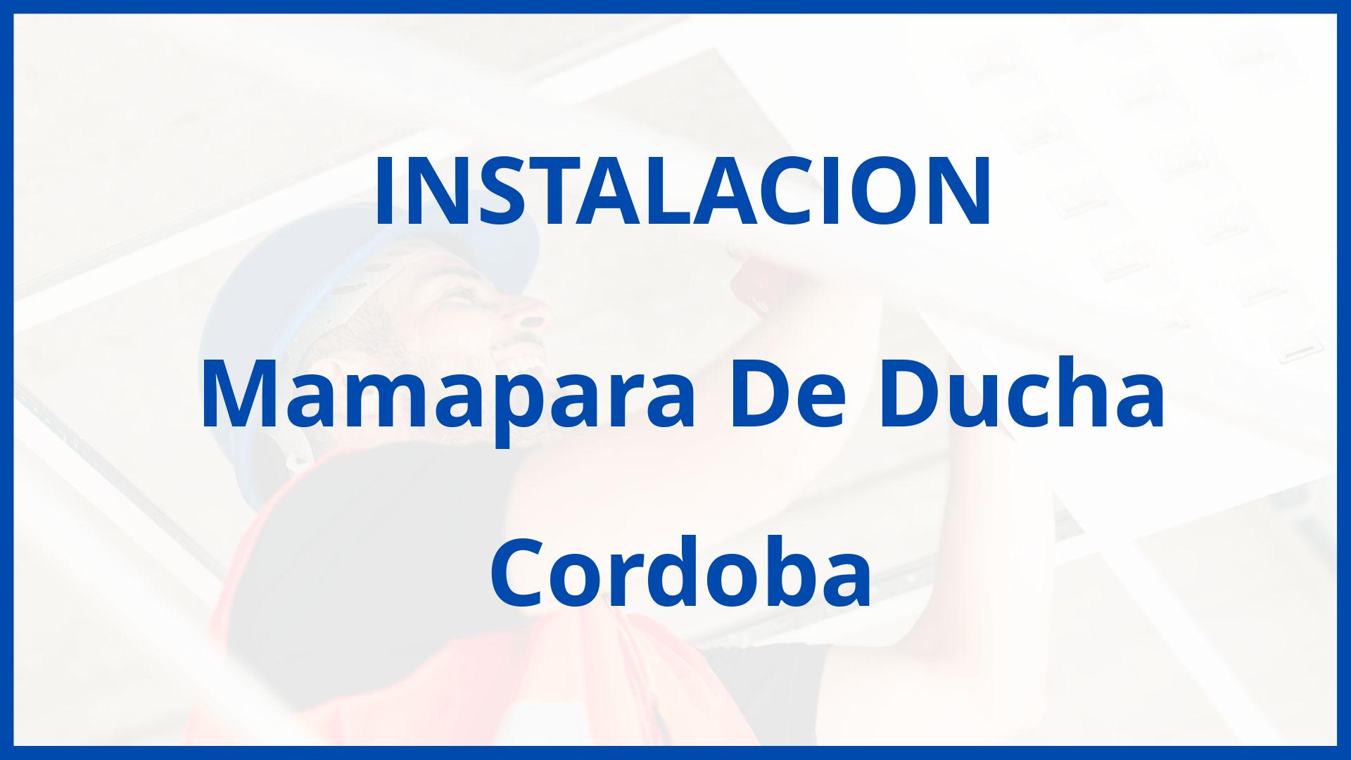 Instalacion De Mamapara De Ducha