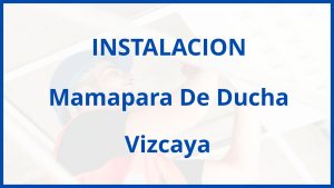 Instalacion De Mamapara De Ducha en Vizcaya