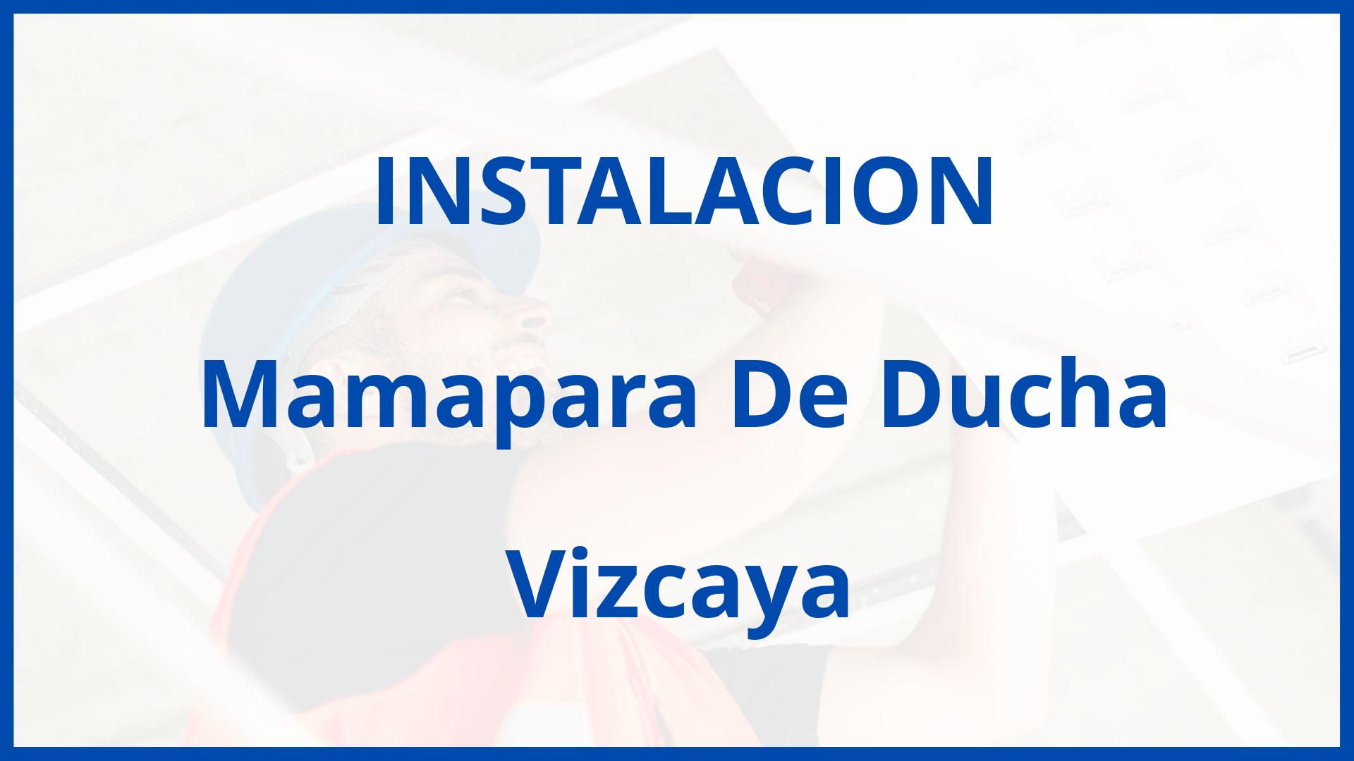 Instalacion De Mamapara De Ducha