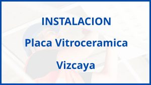 Instalacion De Placa Vitroceramica en Vizcaya