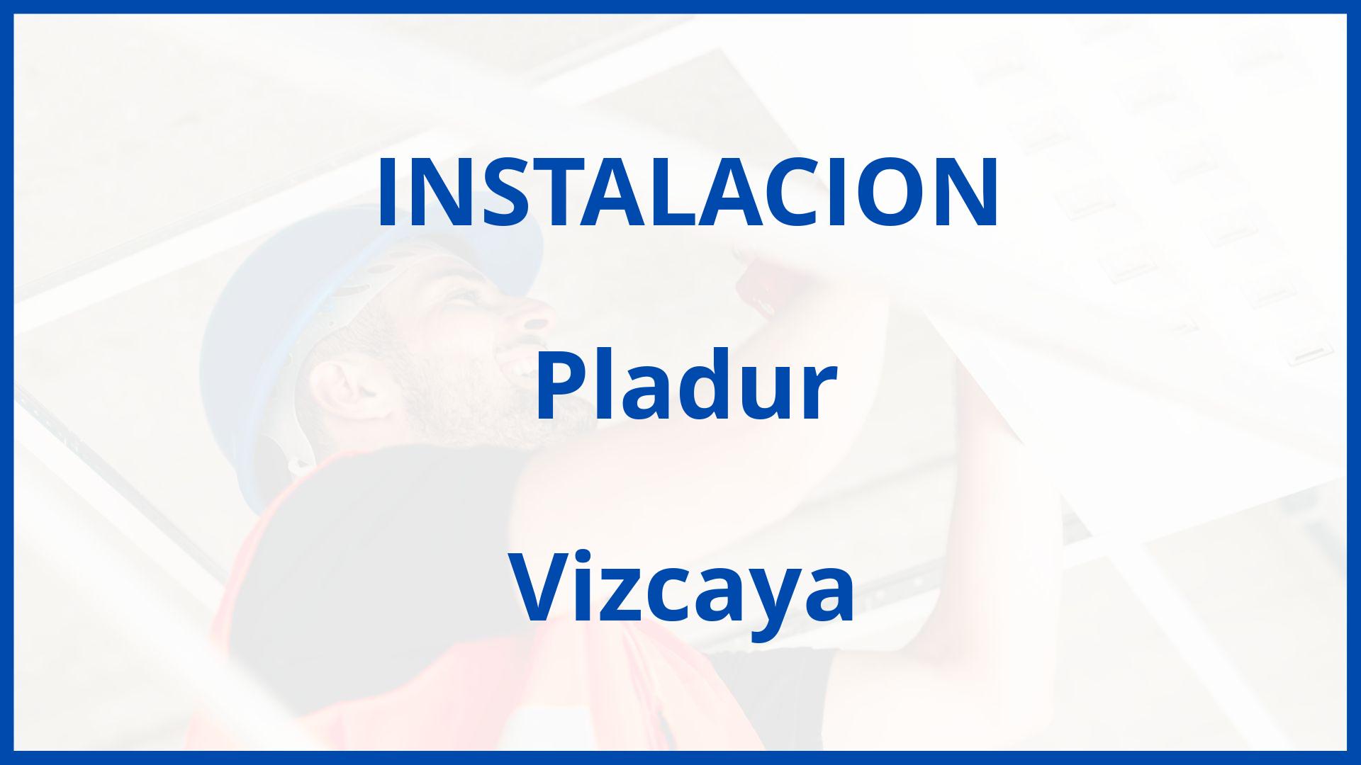 Instalacion De Pladur