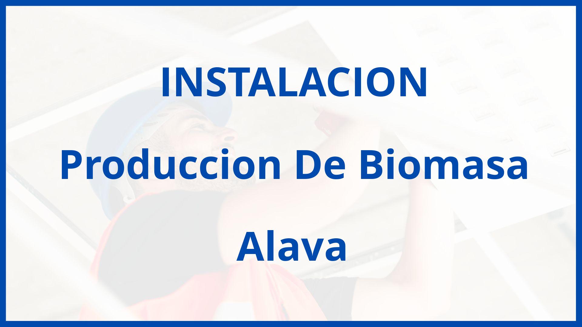 Instalacion De Produccion De Biomasa