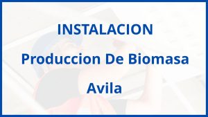 Instalacion De Produccion De Biomasa en Avila