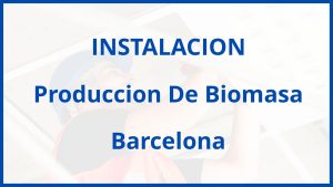 Instalacion De Produccion De Biomasa en Barcelona