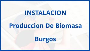 Instalacion De Produccion De Biomasa en Burgos