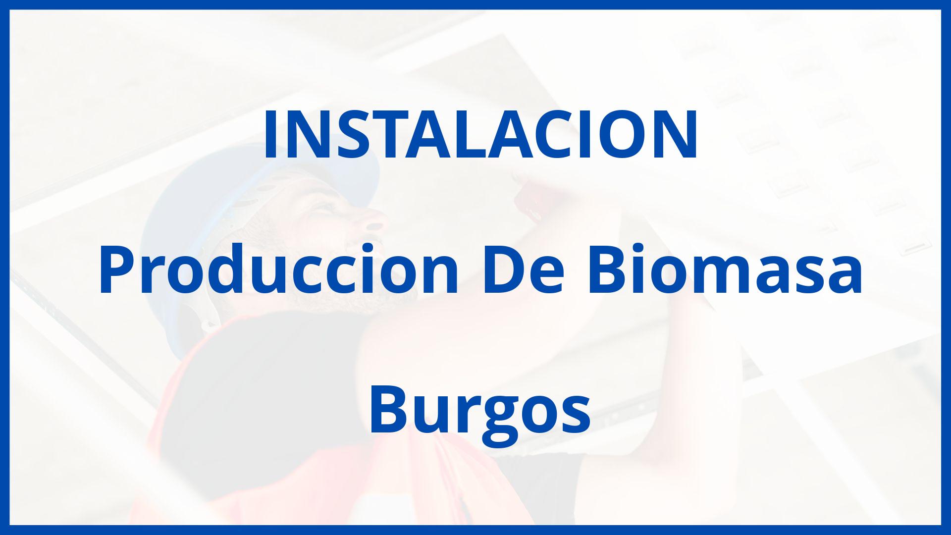 Instalacion De Produccion De Biomasa